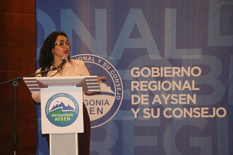 GOBIERNO REGIONAL DE AYSÉN REALIZA PRIMER ENCUENTRO PÚBLICO- PRIVADO PENSANDO LA CORPORACIÓN DE DESARROLLO REGIONAL