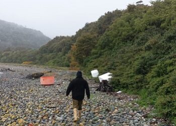 Comité Bentónico de Aysén acusa aumento de producción salmonera a espaldas de las autoridades
