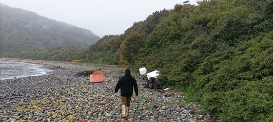 Comité Bentónico de Aysén acusa aumento de producción salmonera a espaldas de las autoridades