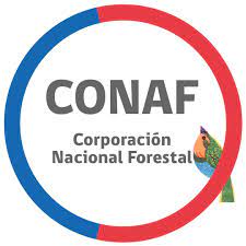 CONAF informa sobre situación de parques nacionales