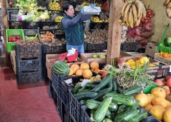 SAG Aysén inició instalación de trampas para monitorear plagas frutales