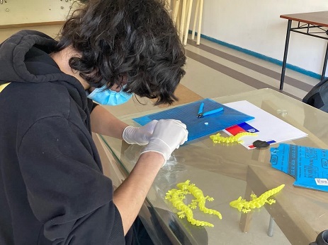 Jóvenes de Coyhaique y Chile Chico participan en talleres de arte y diseño desarrollados con tecnología 3D