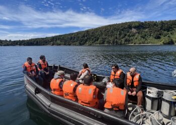 Dirección del Trabajo fiscalizará a 24 centros de cultivo de salmones de Los Lagos, Aysén y Magallanes para mejorar la seguridad de buzos/as y evitar accidentes