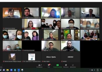 TENS y paramédicos de Postas de Salud Rural de la región fueron capacitados en telemedicina