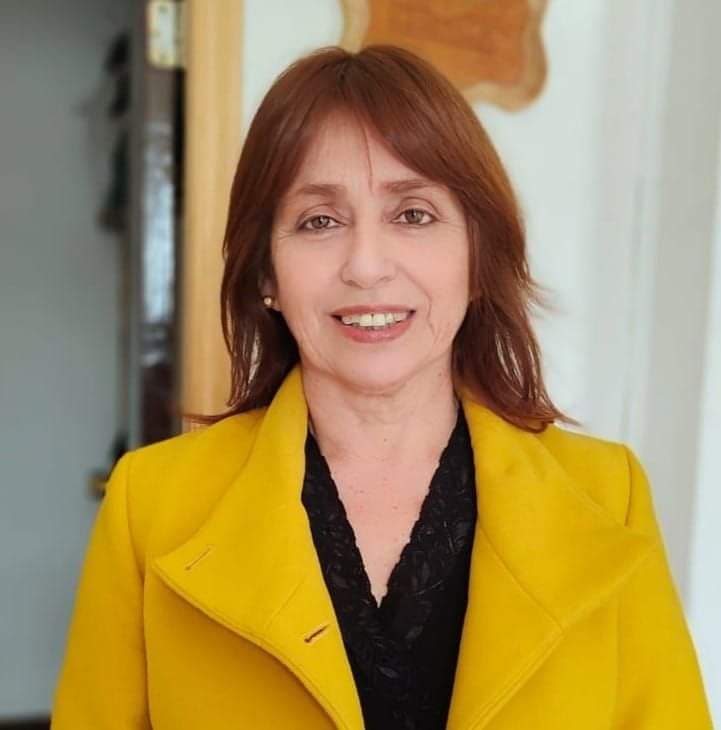 Partido Socialista respalda medidas del Gobierno en materias educativas y apoyo a Mipymes