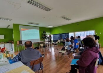 Agrupación José Felmer Klenner realiza taller de memoria en Coyhaique