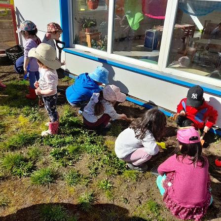 Niños y niñas de la primera infancia exploraron la ciencia en ocho comunas de la región de Aysén