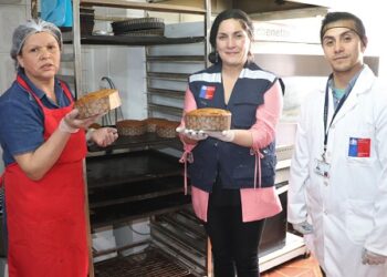 Seremi de Salud refuerza fiscalizaciones a jugueterías y locales de alimentos con miras a festividades de navidad y año nuevo