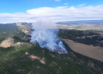 Carabineros junto a Sinapred | Onemi sobrevuelan zona de afectación tras incendio forestal camino a Coyhaique Alto