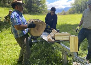 INFOR trabaja con productores leñeros en programa de transferencia tecnología