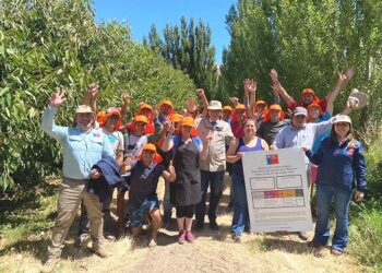 En Chile Chico ISL y Seremi de Trabajo difundieron campaña “Ultra Sol Ultra Protección” a trabajadores y empleadores agrícolas