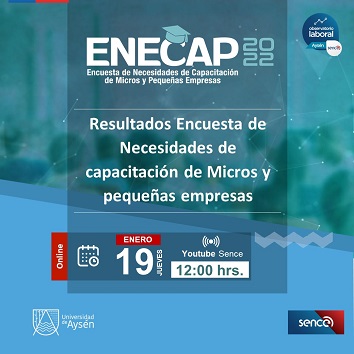 El Observatorio Laboral de Aysén, realiza Seminario Online entregando resultados de la ENECAP 2022