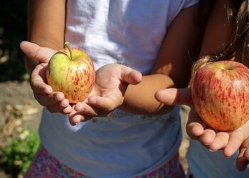 Buena hidratación y aprovechar las frutas de la estación: recomendaciones para incorporar hábitos saludables este verano