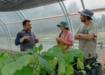 Seremi de Agricultura realza valor de la diversificación productiva en Chile Chico&nbsp;