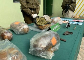 Sección OS-7: recuento labor de drogas en la región de Aysén