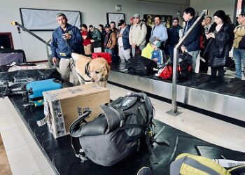 Diversas instituciones se sumaron a operativo antidrogas en aeropuerto de Balmaceda