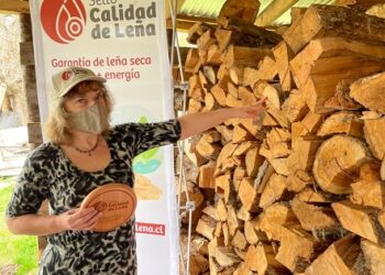Hasta el 31 de enero se encontrarán abiertas las postulaciones al Sello Calidad de Leña