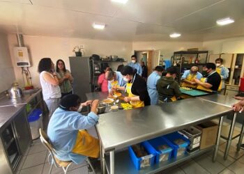 Seremi de Desarrollo Social y Profesionales de Senadis visitan taller Laboral Patagonia “Produciendo desde la Inclusión”