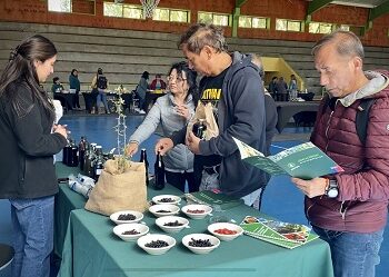 Recolectoras beneficiarias de INFOR muestran sus productos y procesos en la Fiesta del Calafate