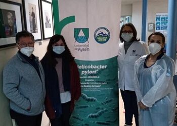Primer estudio de prevalencia de bacteria causante de cáncer gástrico arroja preocupantes resultados en Aysén