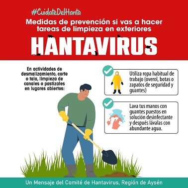 “El Hantavirus es una enfermedad que esta presente en Aysén”