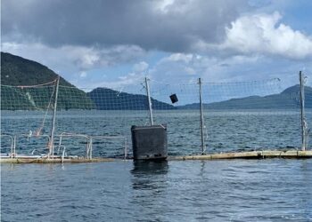 SMA formula dos cargos contra Centro de Engorda de Salmones de la empresa Exportadora Los Fiordos
