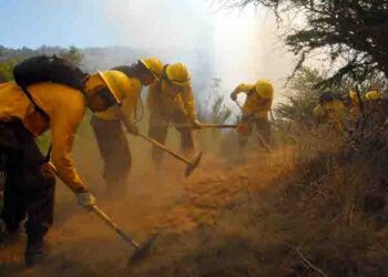 Hacienda y Subdere anuncian fondo por $3.000 millones para apoyar a los municipios afectados por los incendios forestales