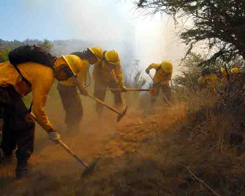 Hacienda y Subdere anuncian fondo por $3.000 millones para apoyar a los municipios afectados por los incendios forestales