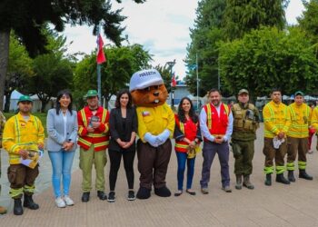 Destacan Plan de Protección de incendios para Aysén