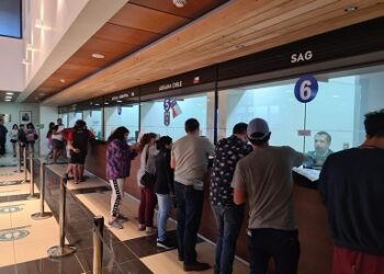 El Servicio Agrícola y Ganadero (SAG) recuerda no ingresar productos de riesgo para evitar posibles enfermedades o plagas en el agro