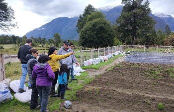 Capacitación de frutillas: INDAP potencia el rubro frutícola en la comuna de Tortel