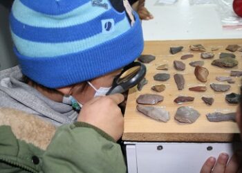 Ciencia y ecosistemas para niños y niñas: CIEP invita a participar de las Escuelas Científicas