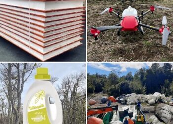 Corfo Aysén destinó más de 3 mil 400 millones de pesos al apoyo de sectores estratégicos e iniciativas de inversión, emprendimiento e innovación
