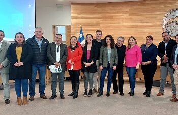 SEREMI DE DESARROLLO SOCIAL Y FAMILIA EXPUSO EN COMISIÓN DE PRESUPUESTO E INVERSIÓN DEL CONSEJO REGIONAL