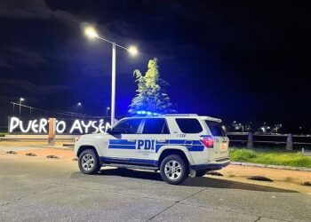 Detectives de Puerto Aysén recuperan especies denunciadas por apropiación indebida