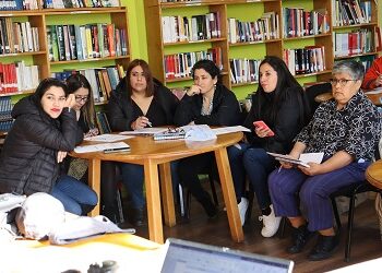FUNCIONARIOS DEM Y DAEM DE LA REGIÓN DE AYSÉN SE INSTRUYEN PARA SER PARTE DE LOS SERVICIOS LOCALES