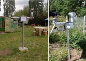 Apicultura de Aysén contará con estudio sobre impactos del cambio climático e influencia humana