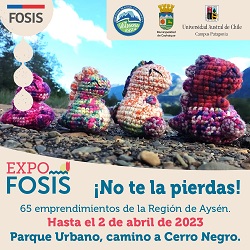 65 emprendimientos regionales estarán presentes en la Expo FOSIS