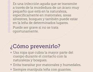 Seremi de Salud advierte presencia de Tifus de los Matorrales en Aysén