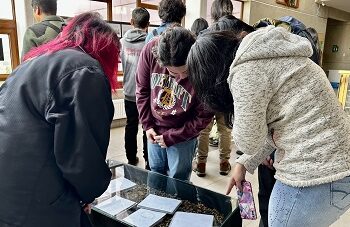 Estudiantes realizan exposición sobre proceso creativo del proyecto Diario de Campo Naturista