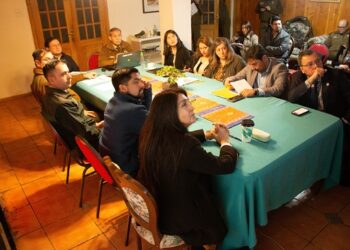 Último análisis del STOP indica una disminución de los principales delitos en la región de Aysén
