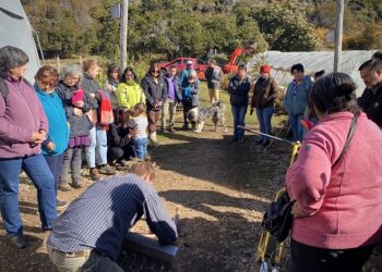 INFOR reúne a Recolectoras y Recolectores de Productos Forestales No Madereros Puerto Guadal