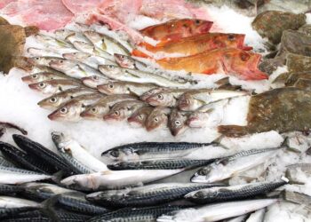 Sepa cómo evitar intoxicaciones alimentarias en esta semana santa  
