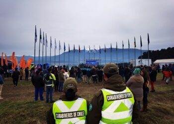 Carabineros detuvo a 11 personas tras servicios desplegados en Expo y Festival Patagonia 2023