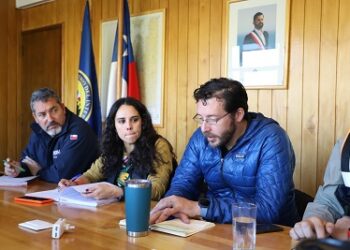 Confirman primer caso de Influenza Aviar en la Región de Aysén