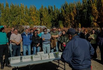 Nuevo vino espumoso lanza Ministerio de Agricultura en Chile Chico 