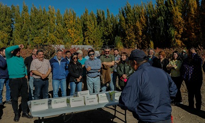 Nuevo vino espumoso lanza Ministerio de Agricultura en Chile Chico