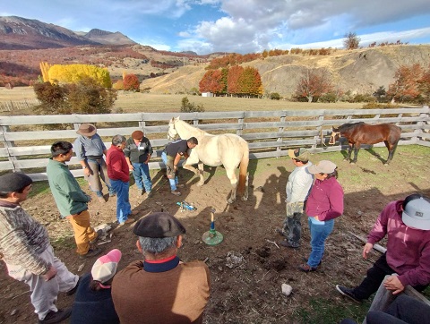 Campus Patagonia Certificó a estudiantes del Diploma “Formación de Guías de Cabalgata en Servicios Turísticos y Logística”