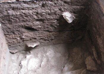 Día del Patrimonio: CIEP lanza estudio arqueológico para investigar la historia rural de la Región de Aysén 