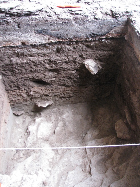 Día del Patrimonio: CIEP lanza estudio arqueológico para investigar la historia rural de la Región de Aysén